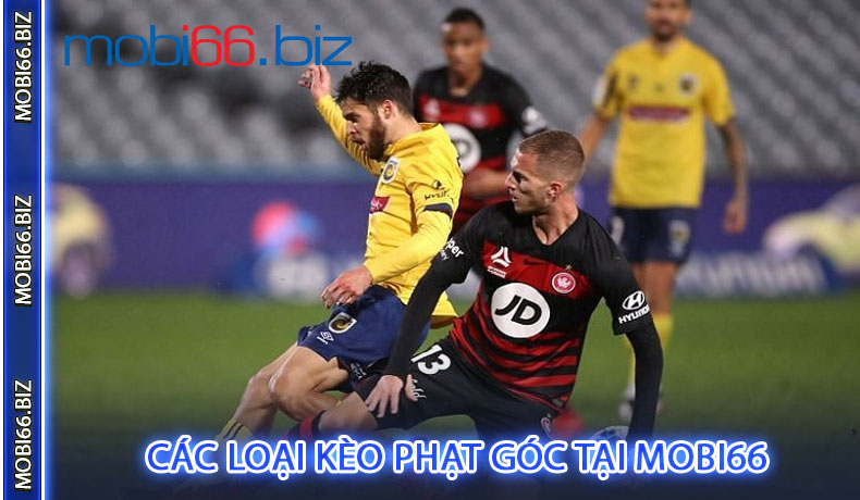Các Loại Kèo Phạt Góc Tại MOBI66